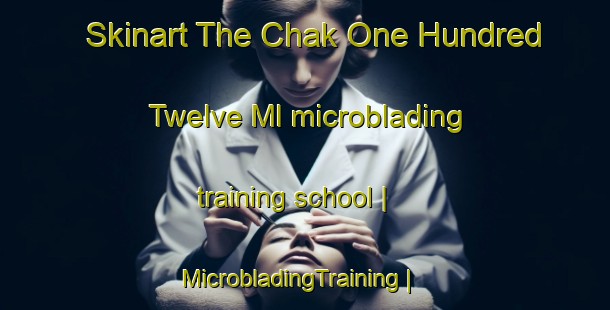 Skinart The Chak One Hundred Twelve Ml microblading training school | MicrobladingTraining | MicrobladingClasses | SkinartTraining-Pakistan